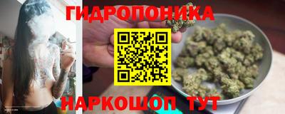 стафф Краснокаменск